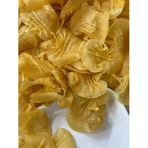 特級湛江本土赤嘴花膠｜500 克裝