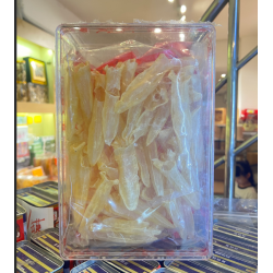 精選 200 頭小花膠筒